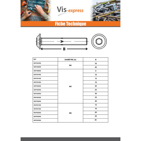 1 x Machine Screw Pan Head Flange T10 M3X12 Class 10.9 Zinc Plated micro screw