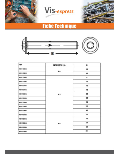 1 x Machine Screw Pan Head Flange T30 M6X16...