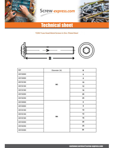 1 x Machine Screw Pan Head Flange T40 M8X10...