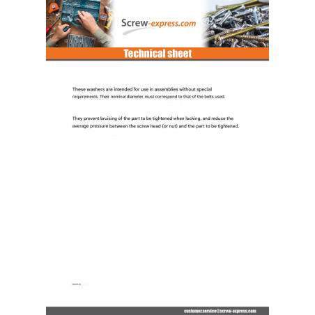 1 x Washer Flat M16X30X3 Z Steel