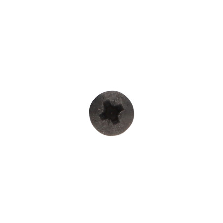 1 x Savis Chipsboard Screw Stainless Steel A2 Black Round Head Pozi 4X25