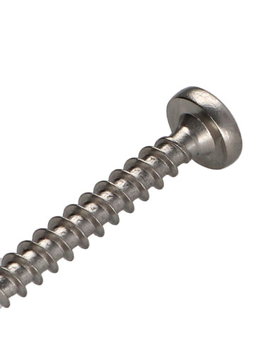 1 x Savis Chipsboard Screw Stainless Steel A2...