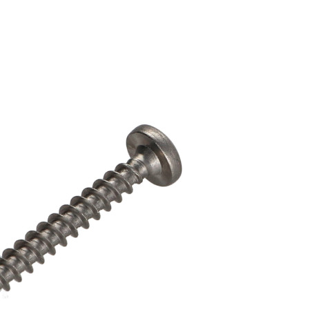 1 x Savis Chipsboard Screw Stainless Steel A2 Round Head Pozi 5X80