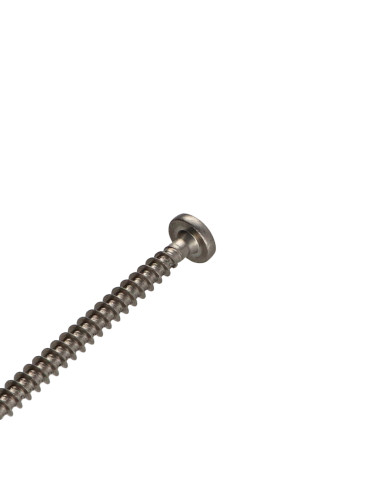 1 x Savis Chipsboard Screw Stainless Steel A2...