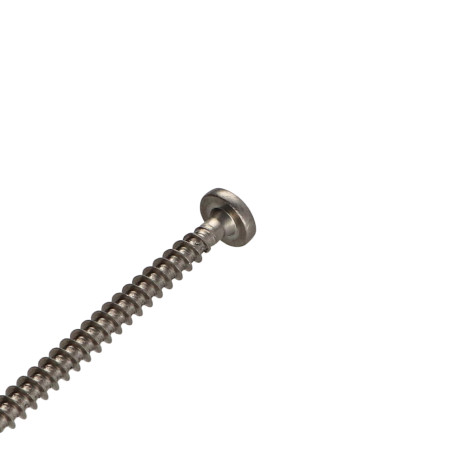 1 x Savis Chipsboard Screw Stainless Steel A2 Round Head Pozi 5X100