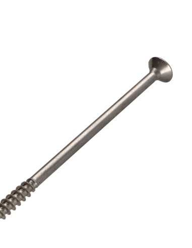 1 x Chipboard Screw Stainless Steel A2...
