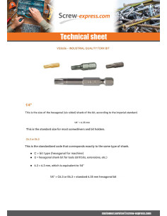 Bit Industrial quality 1/4" C6.3 Stainless Steel T20... 2