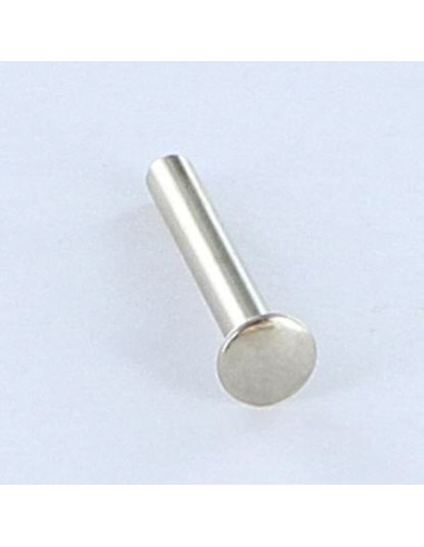 1 x Rivet FORES Flat Head 3X21 Nickel Plated