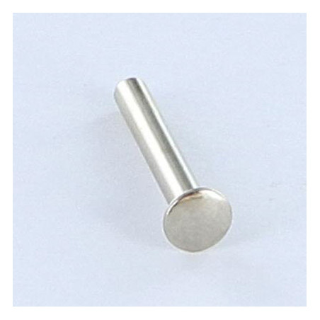 1 x Rivet FORES Flat Head 3X21 Nickel Plated