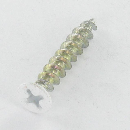 1 x Screw Plastic Pan Countersunk Head Phillips 4.3X25 Zinc Plated RAL9003