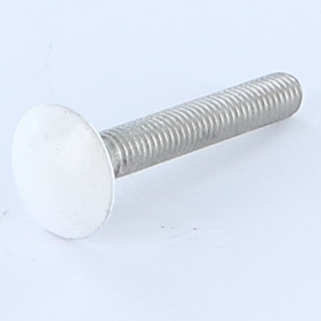 1 x Carriage Bolt M6X50 Full Thread Aluminium Zinc Plated Painted White Ral9016/Traffic Signalisation