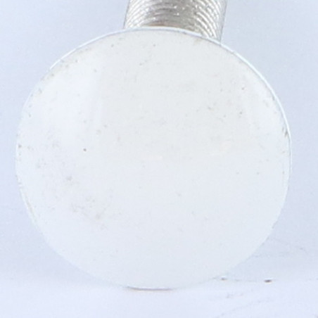 1 x Carriage Bolt M6X50 Full Thread Aluminium Zinc Plated Painted White Ral9016/Traffic Signalisation