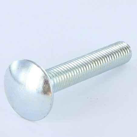 1 x Carriage Bolt M10X25 Full Thread Class 8.8 Zinc Plated