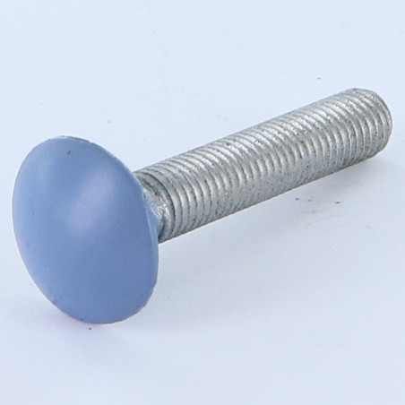 1 x Carriage Bolt M7X40 Pitch 100 Full Thread Aluminium RAL5014 30%B