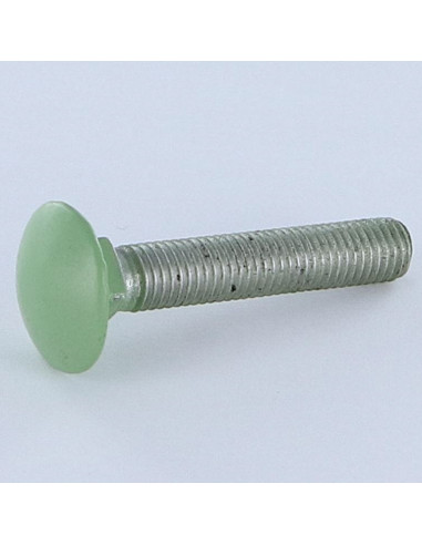 1 x Carriage Bolt M7X45 Pitch 100 Aluminium...