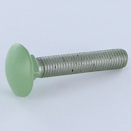1 x Carriage Bolt M7X40 Pitch 100 Full Thread Aluminium Ral6021/Pale Green 30%B