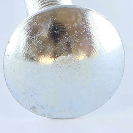 1 x Carriage Bolt M10X45 Full Thread Class 8.8 Zinc Plated