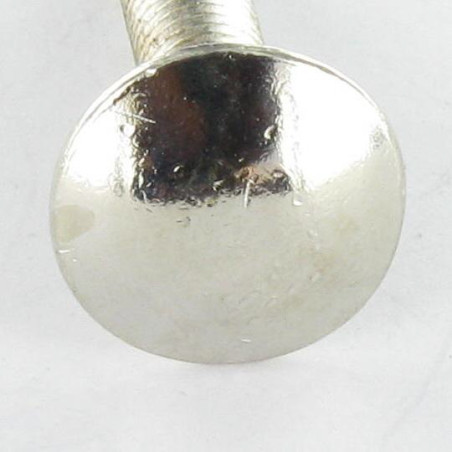 1 x Carriage Bolt M5X25 Full Thread Nickel Plated