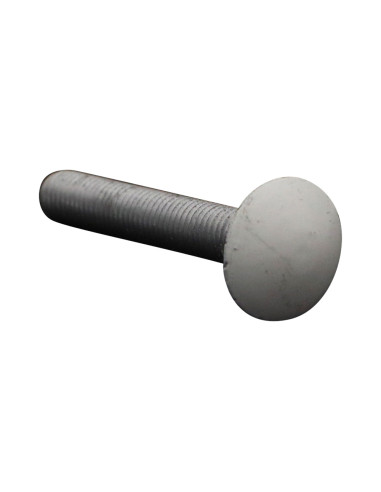 1 x Carriage Bolt M7X45 Pitch 100 Aluminium...