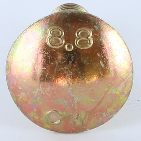 1 x Carriage Bolt M10X20 Full Thread Yellow Zinc