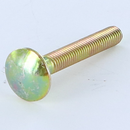 1 x Carriage Bolt M10X20 Full Thread Yellow Zinc