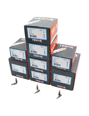 1 x TEKOR PACK PRO 1200 Screw Countersunk Head...
