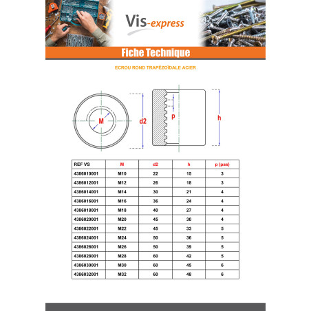 1 x Nut Cylindrical Thread Trapezoidal Right 24X5 BRONZE