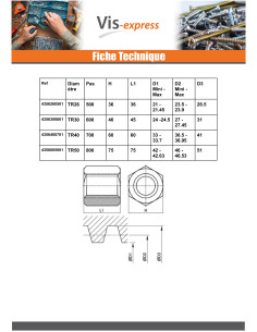 Hexagonal nuts SKM Round Head 40X7 Trapezoidal Right Steel 2