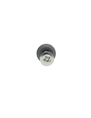 1 x Plug Nails Screw RAWLPLUG Flat Head Large 6X40