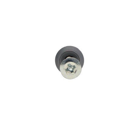 1 x Plug Nails Screw RAWLPLUG Flat Head Large 6X40