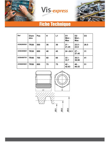 1 x Hexagonal nut SKM Round Head 10X3...