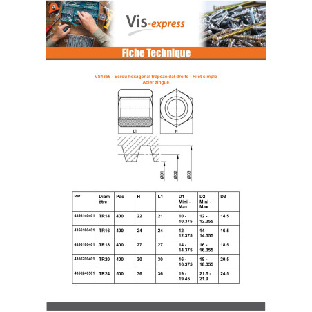 1 x Hexagonal nuts SKM Round Head 14X4 Trapezoidal Right Steel