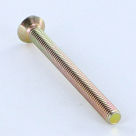 1 x Machine Screw Pan Countersunk Head Slotted M6X25 Yellow Zinc