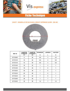 Lock washer with internal lug 8X20X0.8 Type F 3 Steel 2