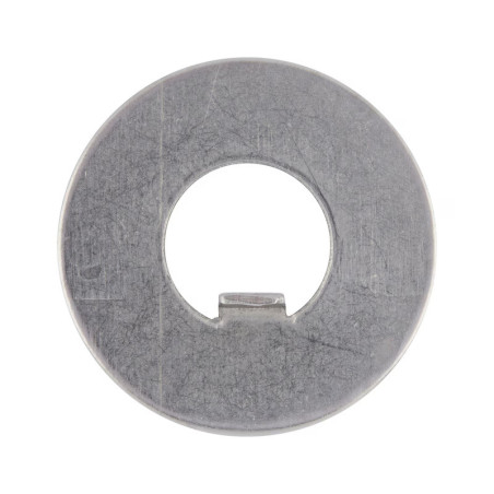 1 x Lock washer with internal lug 28X50X1 Type F 7 Steel