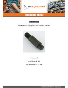 PICOT fixation Hexagonal 20X80 Thread Length: M16X25 Steel 2