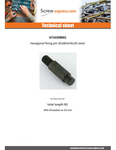 1 x PICOT fixation Hexagonal 20X80 Thread...
