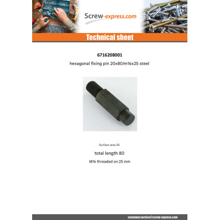 1 x PICOT fixation Hexagonal 20X80 Thread Length: M16X25 Steel