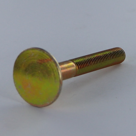 1 x Screw FLOOR Countersunk Head Large 4 Dewclaws 10X80 Yellow Zinc