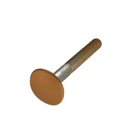 1 x Screw PLAN Countersunk Head WIDE 4ERGOT10X80 Zinc Plated RAL1011M