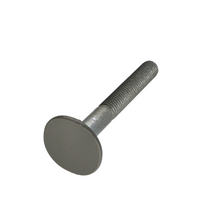 1 x Screw Countersunk Head WIDE 4ERGOT10X80 RAL7023 30%SHINE