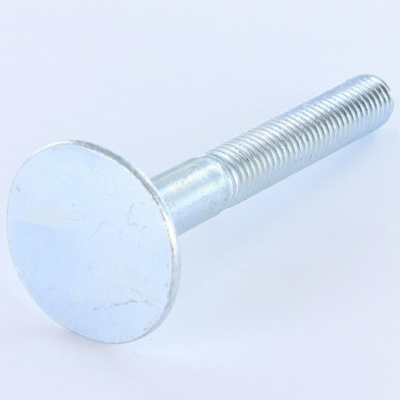 1 x Screw FLOOR Countersunk Head Large 10X80 4 ERG Zinc Plated Cr3 96 Hbs Without Red Rust