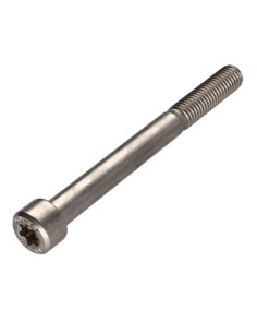 Machine Screw Pan Head T50 Stainless Steel A2 M10X100...