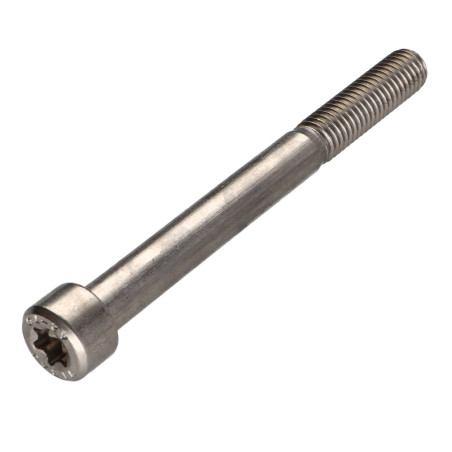 1 x Machine Screw Pan Head T50 Stainless Steel A2 M10X100 Thread Length: 32