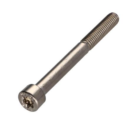 1 x Machine Screw Pan Head T30 Stainless Steel A2 M6X60 Thread Length: 24