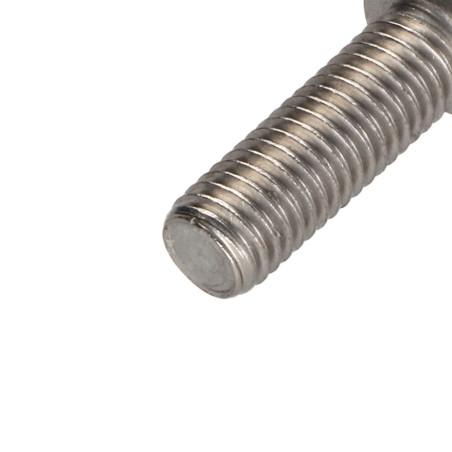 1 x Machine Screw Pan Head T50 Stainless Steel A2 M10X30 Full Thread