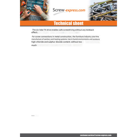 1 x Machine Screw Pan Head T20 Stainless Steel A2 M4X20 Full Thread