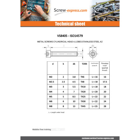 1 x Machine Screw Pan Head T25 Stainless Steel A2 M5X30 Thread Length: 22
