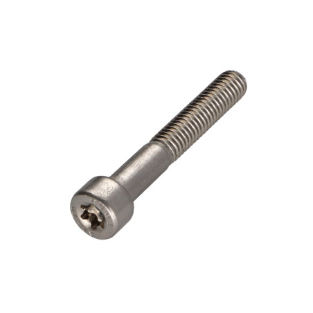 1 x Machine Screw Pan Head T25 Stainless Steel A2 M5X45 Thread Length: 22