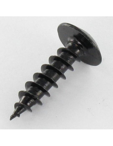 1 x Wood Screw Security ONE WAY Large Pan Head...